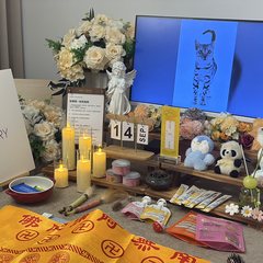 宠物家长客户见证