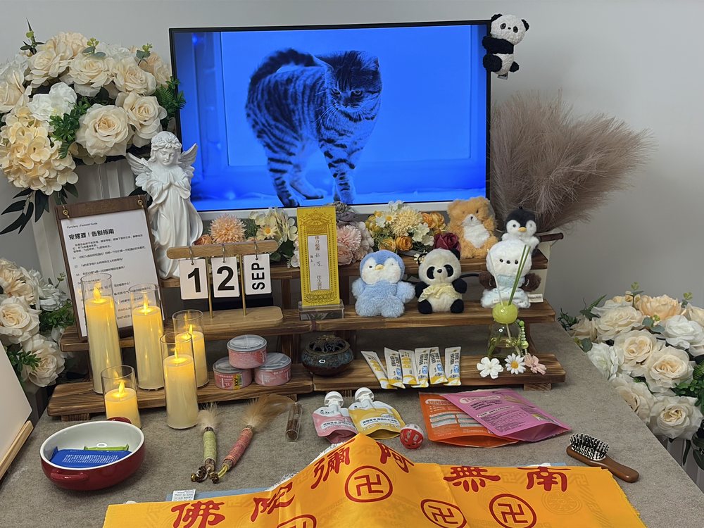 宠物告别仪式现场布置