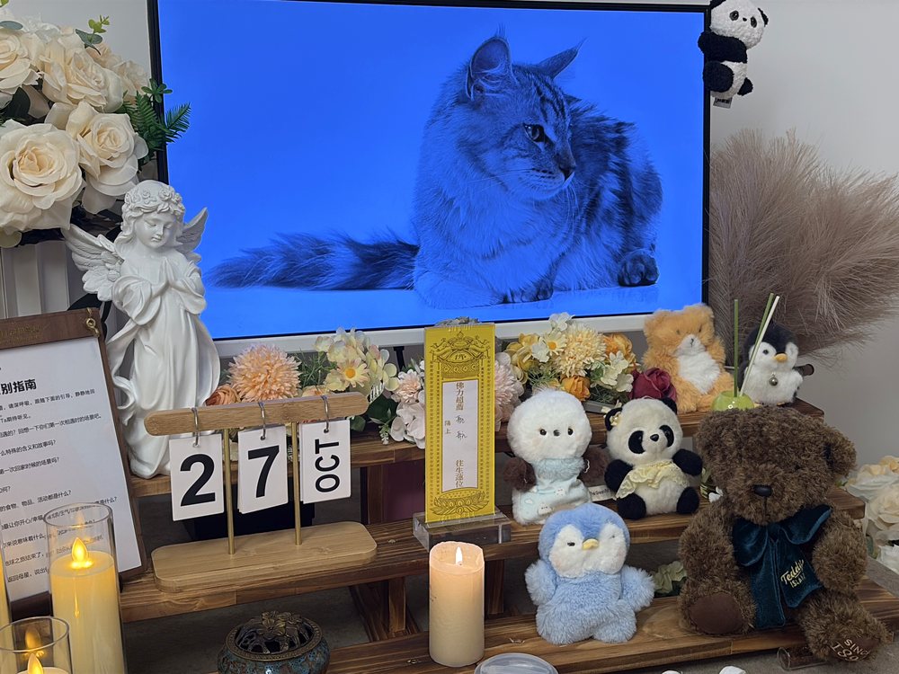 江门宠物殡葬单独火化告别区